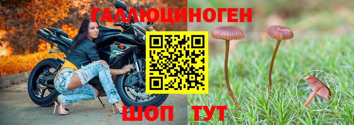 Галлюциногенные грибы Cubensis Магадан